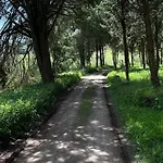 T1 Paraiso Sol Rocha - Da Rocha *