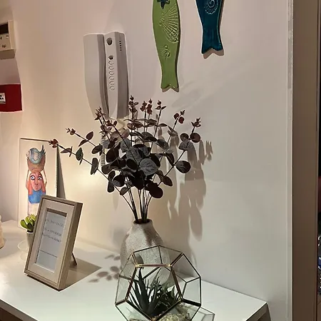 T1 Paraiso Sol Rocha - Da Rocha *