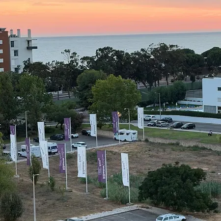 T1 Paraiso Sol Rocha - Da Rocha *