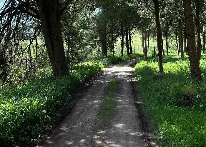 T1 Paraiso Sol Rocha - Da Rocha *