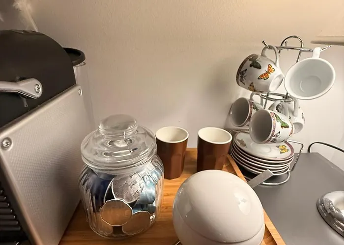 T1 Paraiso Sol Rocha - Da Rocha